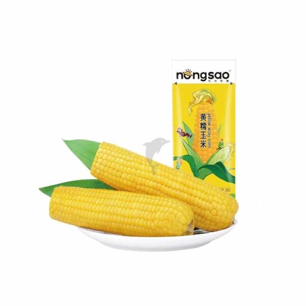 Fresh Products | DBNS Brand Yellow Waxy Corn 200g Food Fresh Products